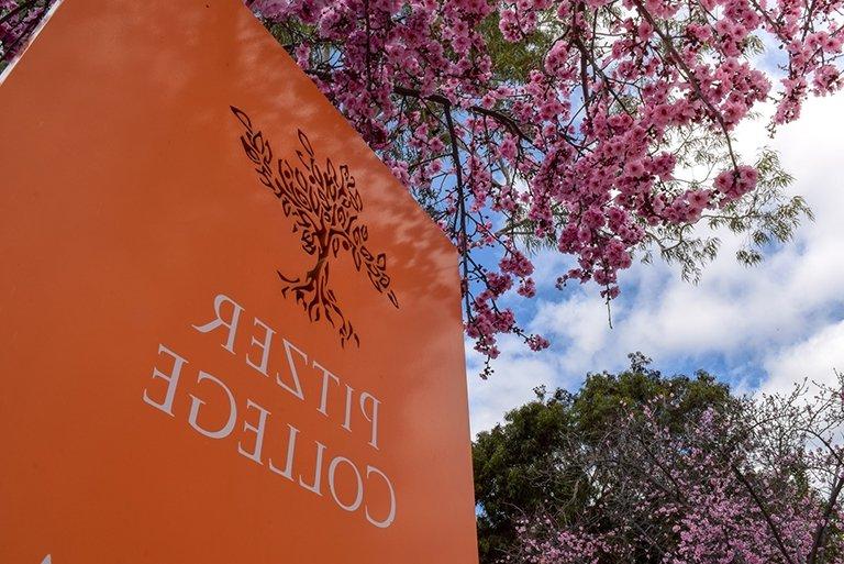 An outdoor Pitzer College orange sign surrounded by cherry blossoms